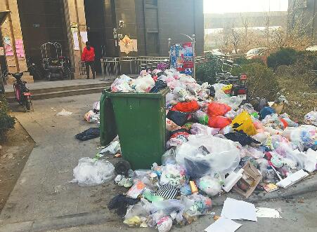 济南盛世名门小区垃圾清运不及时 垃圾桶附近垃圾成堆
